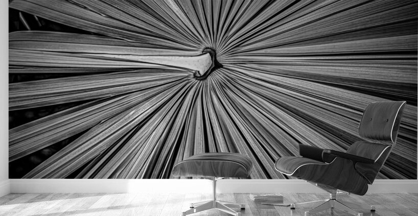 Palm Symmetry Elegance Wall Murals