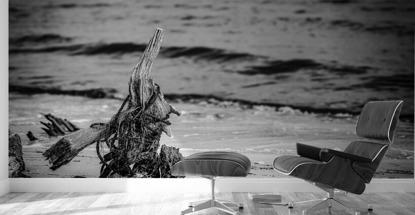Driftwood Rhapsody on Serene Sands Wall Murals