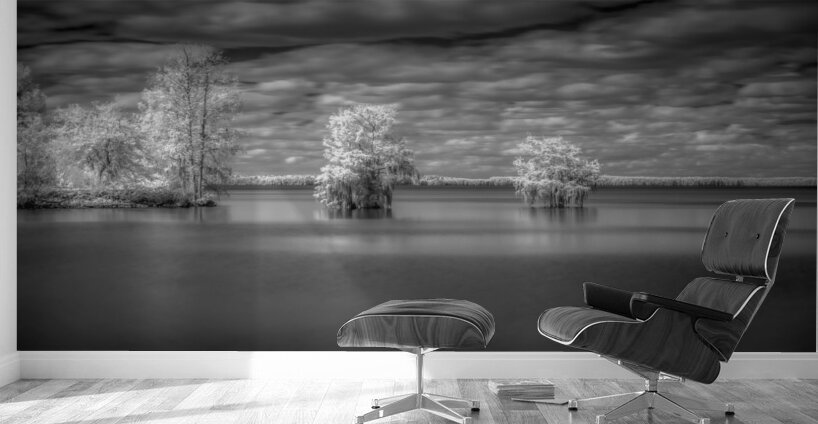 Tranquil Cypress Dreams: Santee State Park Wall Murals