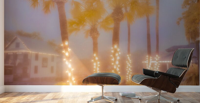 Enchanting Saint Augustine: Palm Trees Aglow with Christmas Magi Wall Murals
