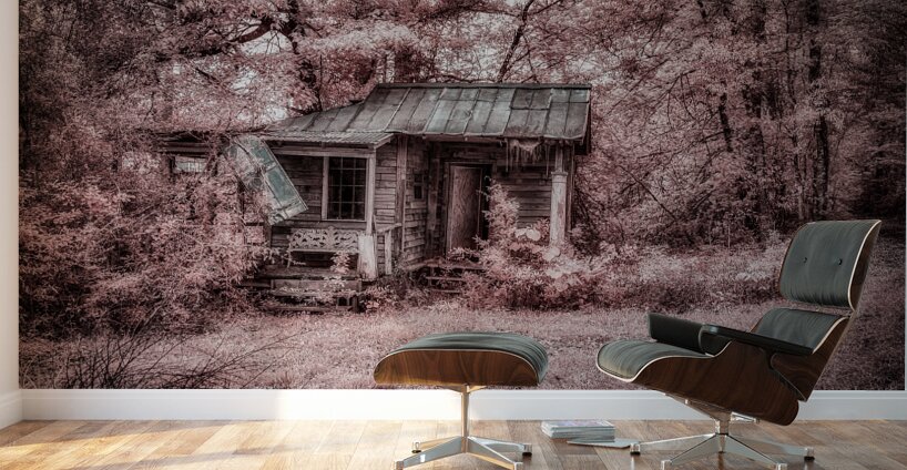 Louisiana Fishing Shack 3 Wall Murals