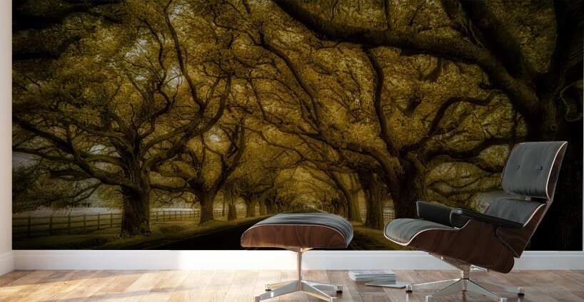 Saint Bernards Tree Road Wall Murals