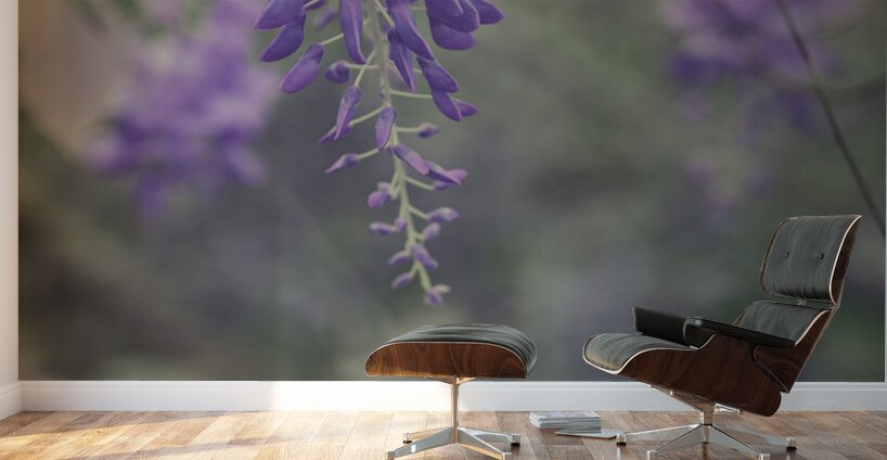 Wisterias Whisper Wall Murals