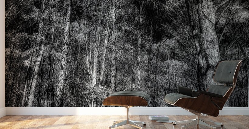 Tall Dark Symphony: A Winters Tale in Infrared Black and White Wall Murals