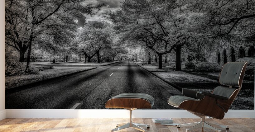 Eufaula Elegance: A Monochromatic Journey Through Time Wall Murals