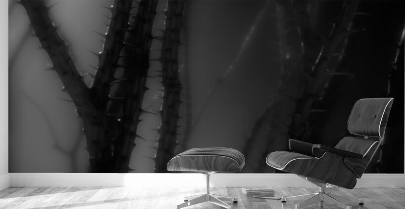 Shadows Weave Through Thorned Spire Wall Murals