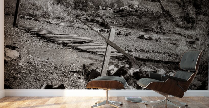 Rugged Shadows of Redemption Wall Murals