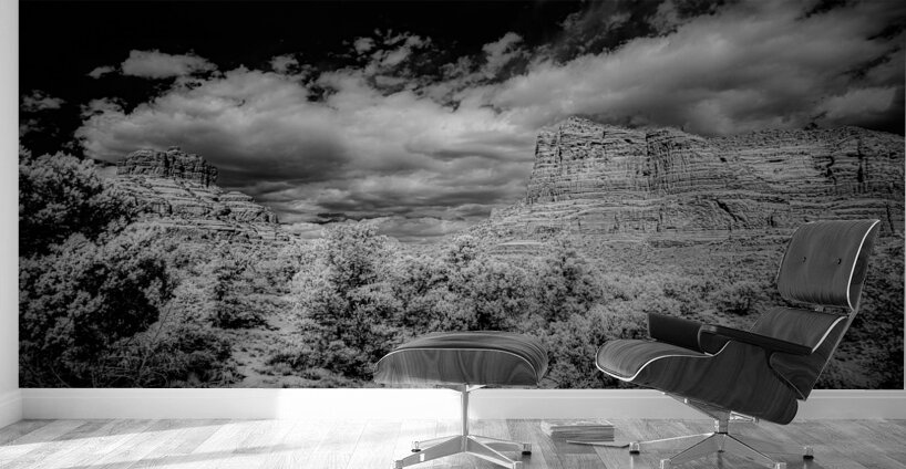 Desert Majesties in Monochrome Wall Murals