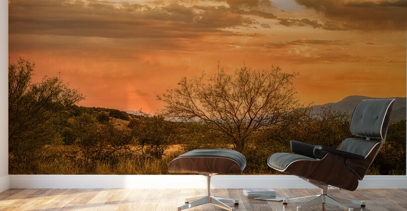Eternal Calm of  Desert Hues Wall Murals
