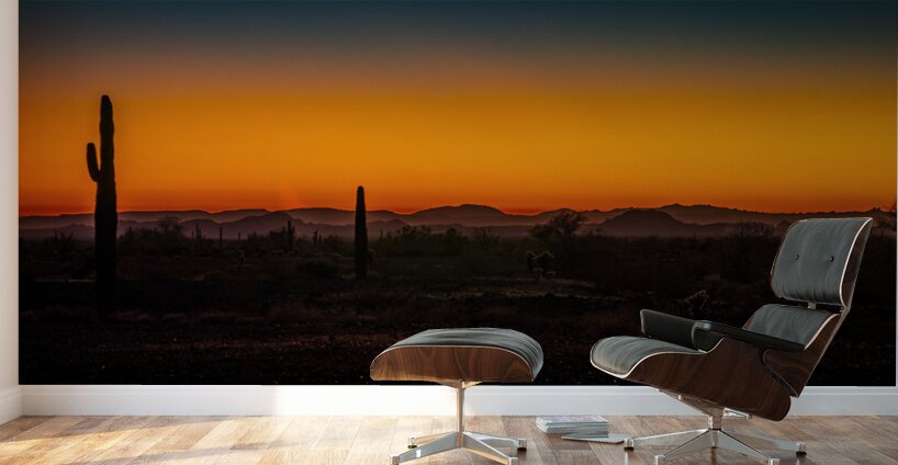 Deserts Twilight Poetry Wall Murals