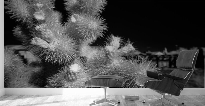 Intricate Dance of Cactus Spines Wall Murals