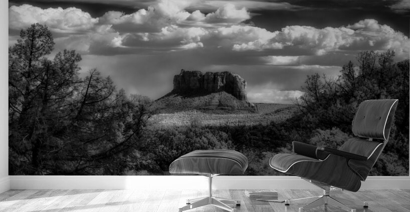 Textural Dance Under Vast Skies Wall Murals