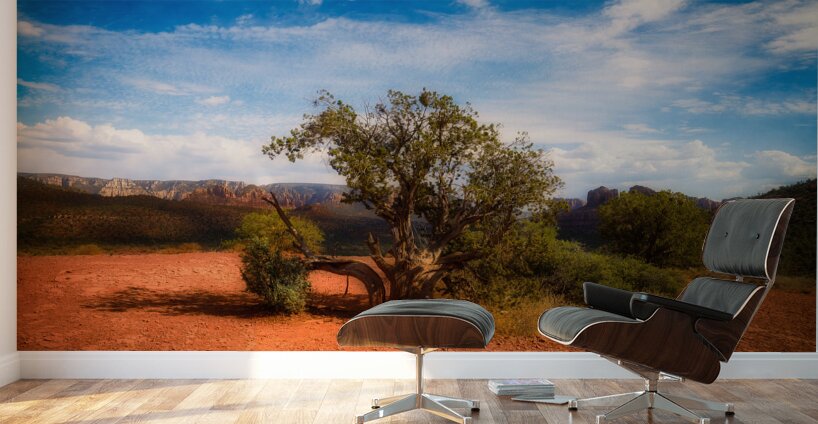 Gnarled Ode on Reddish Earth Wall Murals