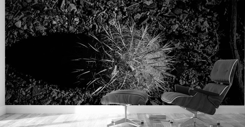 Prickly Silhouette Wall Murals