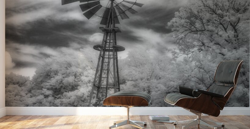 Silhouette of Whirling Whispers Wall Murals