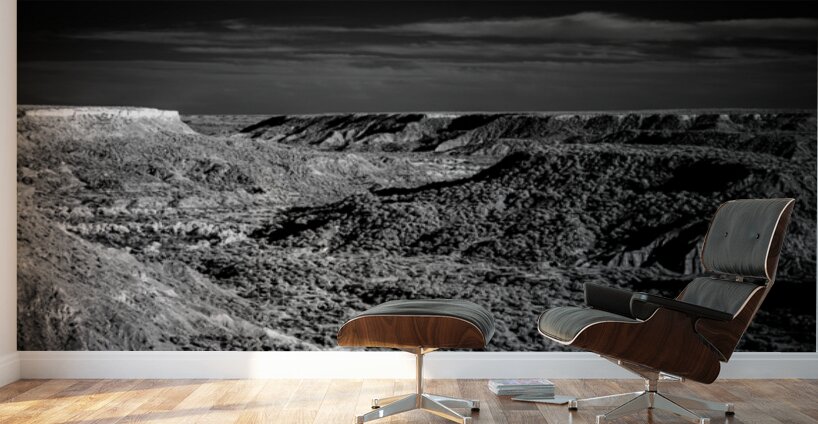 Unveiling Palo Duros Timeless Journey Wall Murals