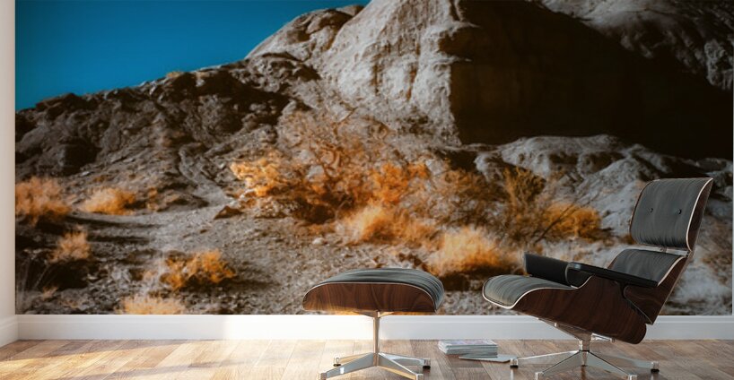 Exploring the Ethereal: A Surreal Journey through Palo Duro Cany Wall Murals