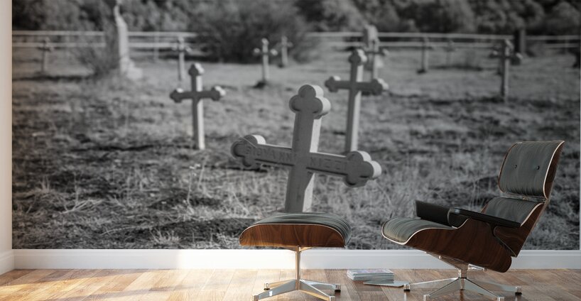 Dawson Cross Wall Murals