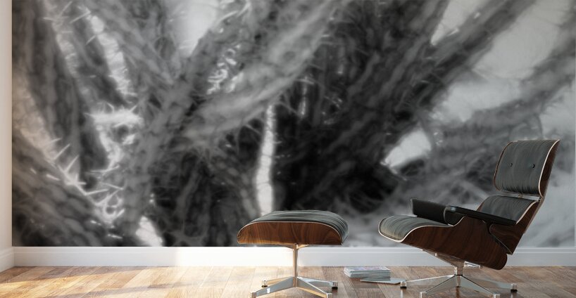 Prickly Dance on a Blurred Canvas Wall Murals