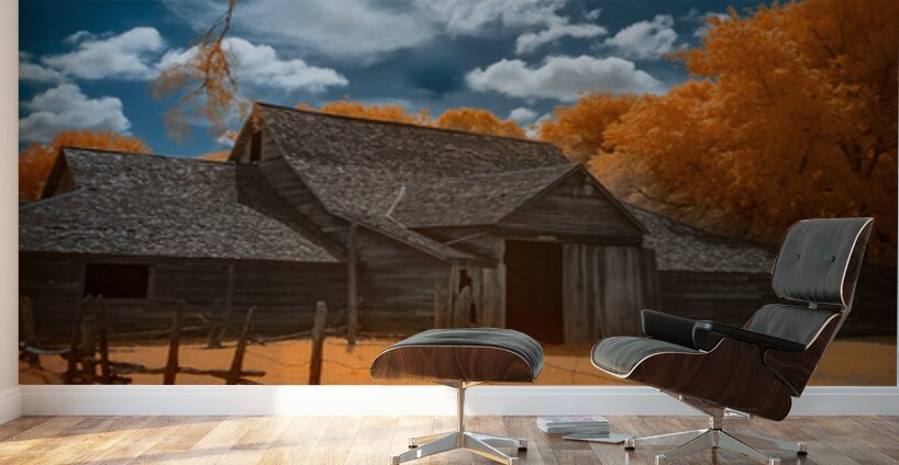 Barn of Timeless Dreams Wall Murals