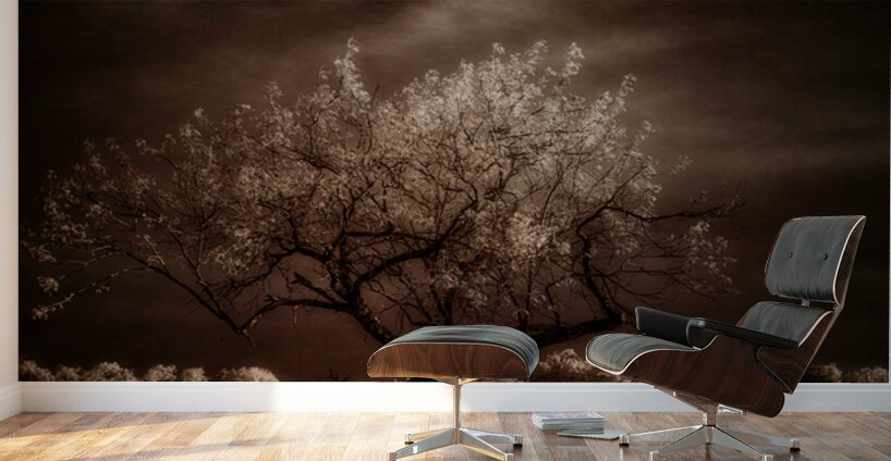 Crown Light Wall Murals