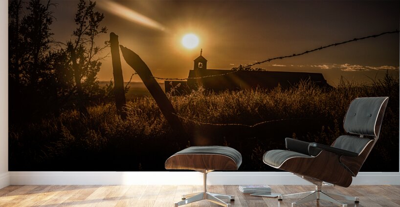 Sun Kissed Harmony Along Rustic Lines Wall Murals