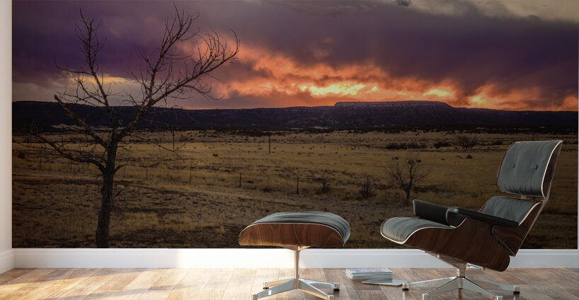 Heavens Blaze: Sunset Symphony in Cold Beer New Mexico Wall Murals