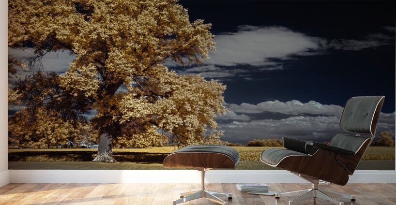 Golden Sentinel Wall Murals