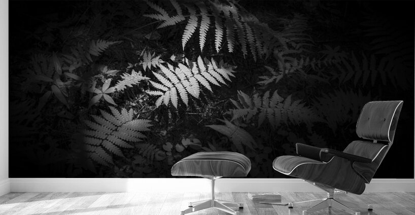 Ferns Whisper Wall Murals