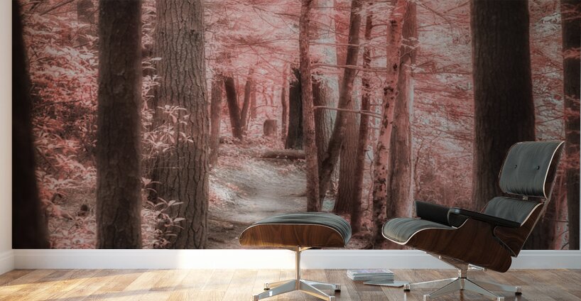Mystical Forest Walk Wall Murals