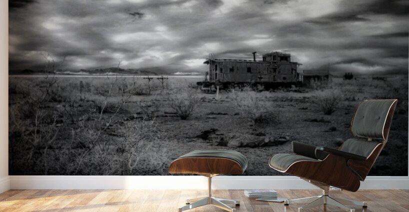 Whispers of a Forgotten Rail Wall Murals