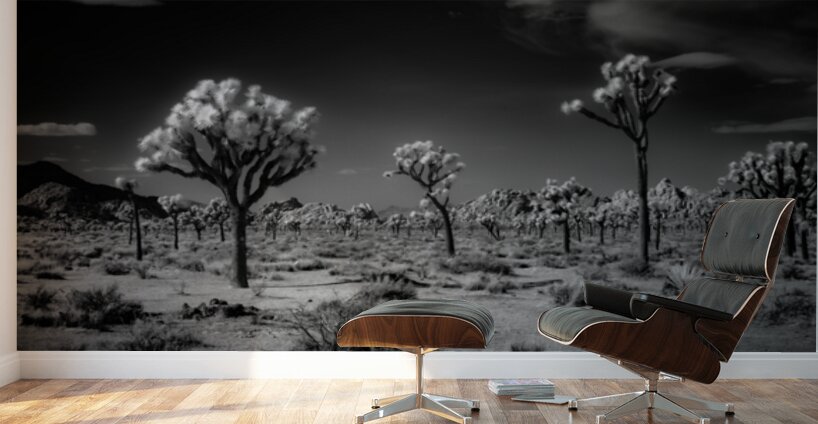 Ghostly Terrain Under Infinite Sky Wall Murals