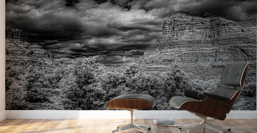 Desert Majesties in Monochrome Wall Murals