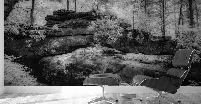 Rocky Tranquility: Natural Bridge Kentucky Wall Murals