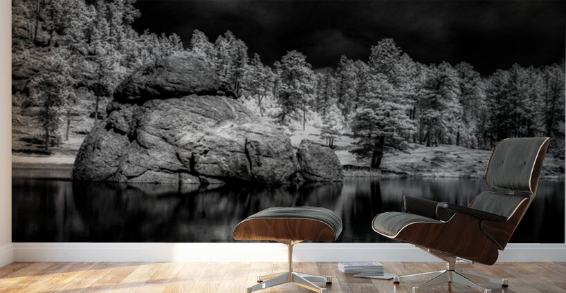 Enigmatic Elegance: Sylvan Lakes Monochrome Marvel Wall Murals