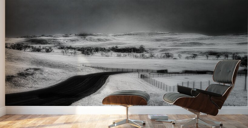 Journey Through the Infinite: An Eternal Horizon Wall Murals