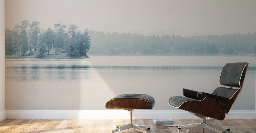 Silent Smoke on Stockade Lake Wall Murals