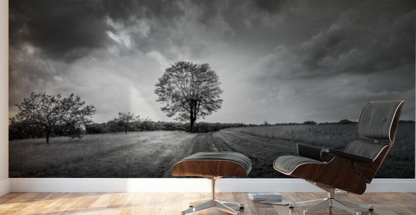 Stormy Tree Wall Murals