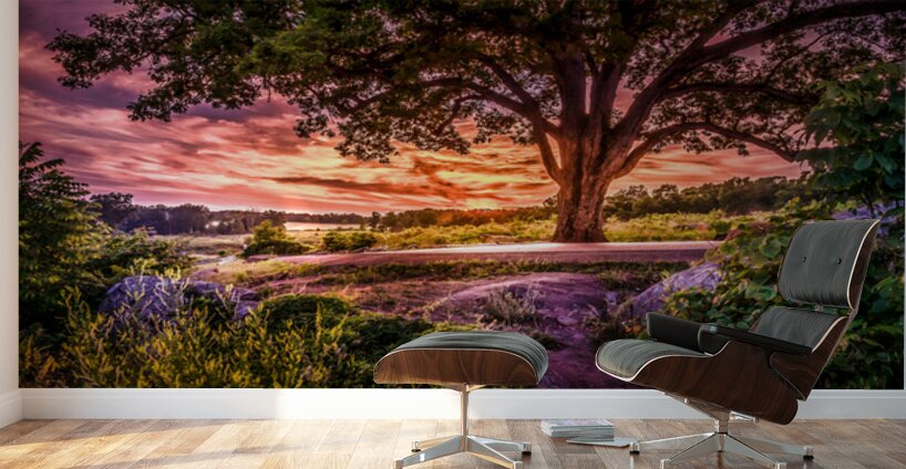 Fairytale Sunset Wall Murals