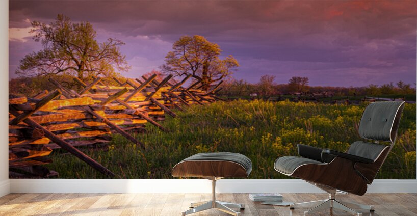 Sunset Fence Wall Murals