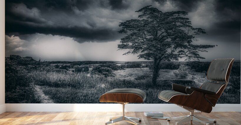 Storm Watch at Little Round Top Wall Murals