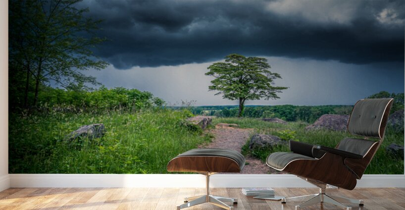 Solitude and Serenity: A Hike through Little Round Tops Enchante Wall Murals