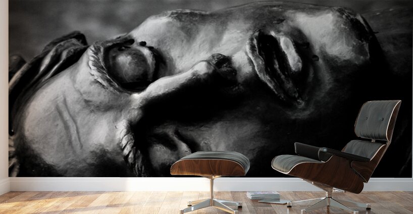 In the Eyes of War Wall Murals