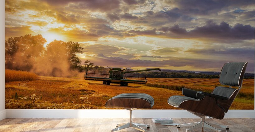 Harvest Gold Wall Murals