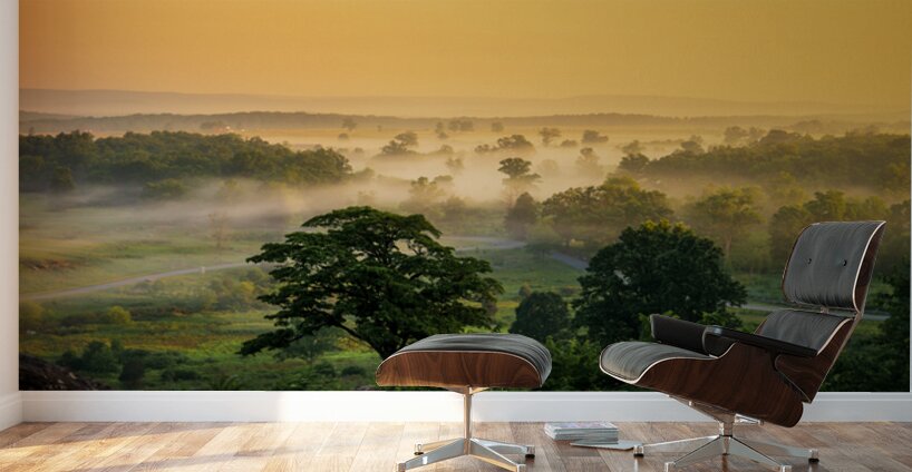 Foggy Bottom Wall Murals