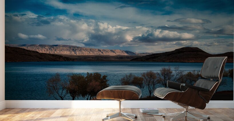 Quail Creek Tempest Wall Murals