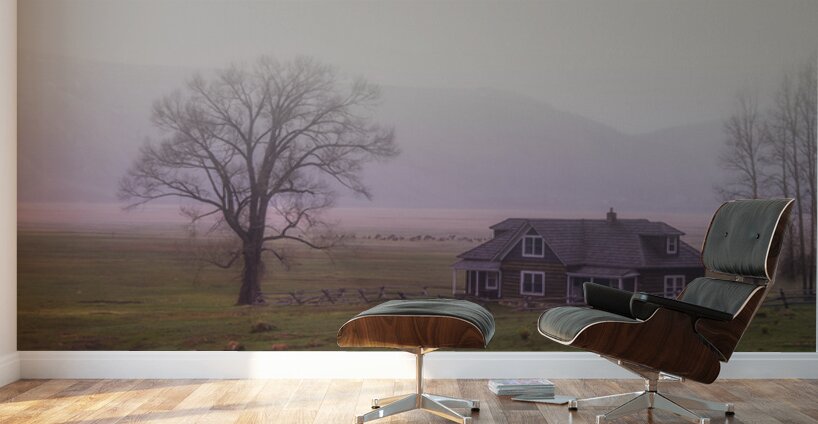 Millers Misty Morning Wall Murals
