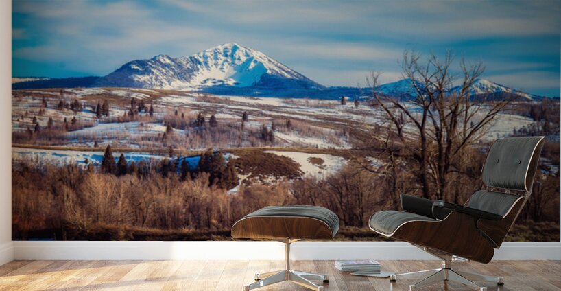 Winters Crown in Blue Wall Murals