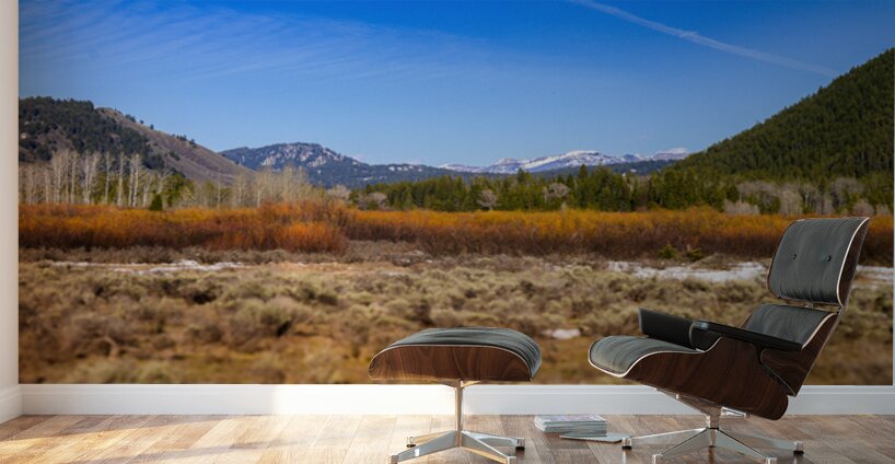 Layers of Winter Promise Wall Murals