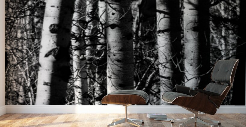 Aspens Sacred Lines Wall Murals